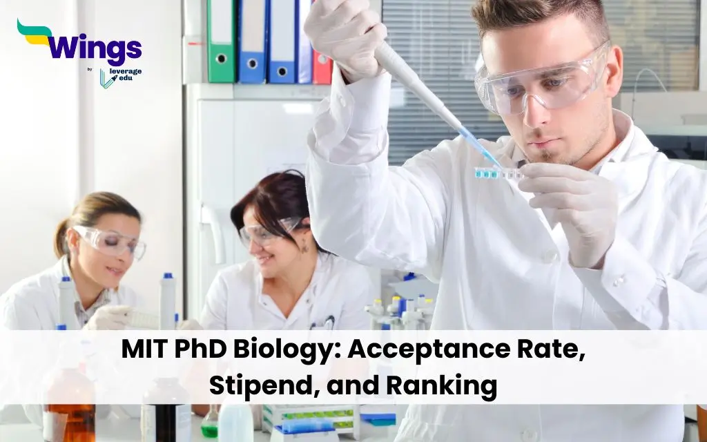 mit acceptance rate